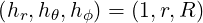 (h  ,h  ,h  ) = (1,r,R )
  r  θ  ϕ
