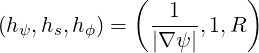              (          )
(h ,h ,h ) =   -1--,1,R
  ψ  s  ϕ      |∇ ψ|
