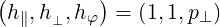 (h ,h ,h  ) = (1,1,p )
  ∥  ⊥  φ          ⊥
